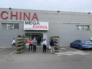Mega China