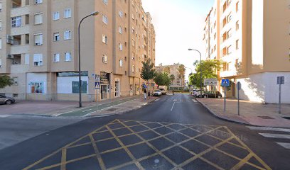 Alimentacion Y Bazar