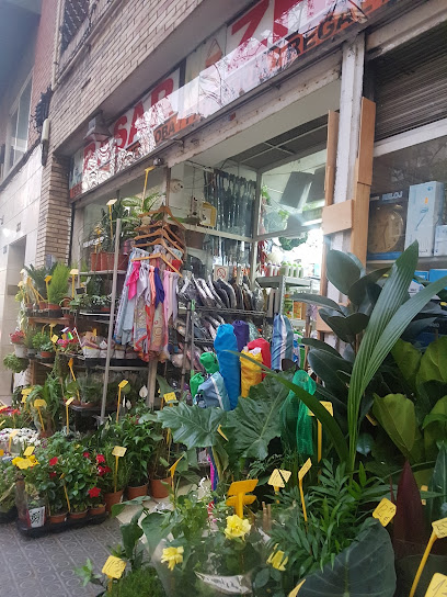 Basar - Zhang