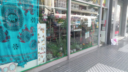 Bazar Xu