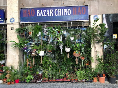 Bazar Chino HAO HAO