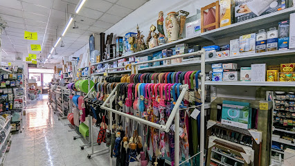 Xy Bazar